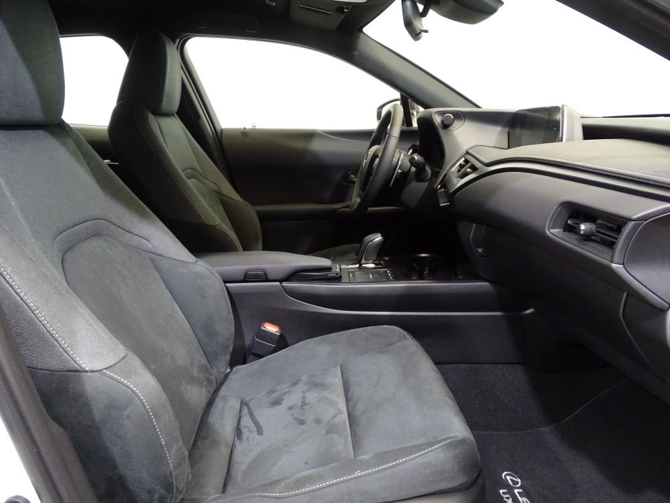 Lexus UX 300e Business