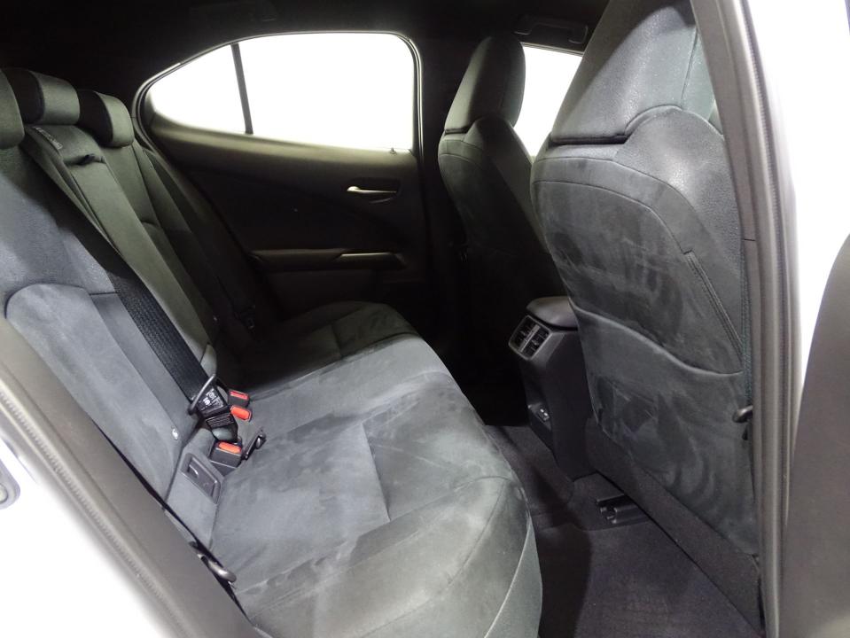 Lexus UX 300e Business