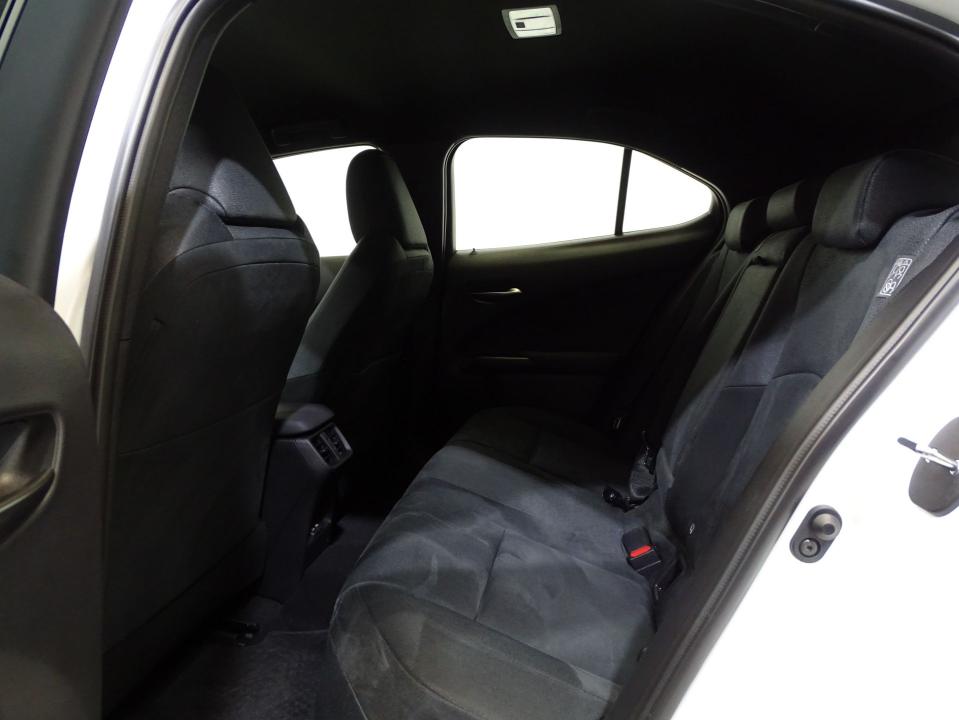 Lexus UX 300e Business