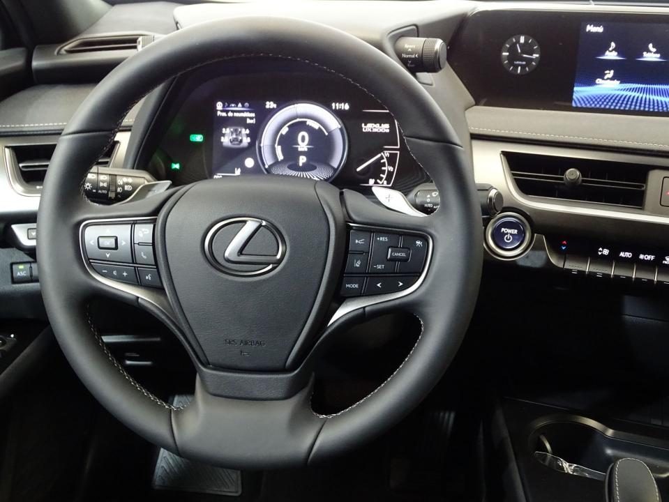 Lexus UX 300e Business