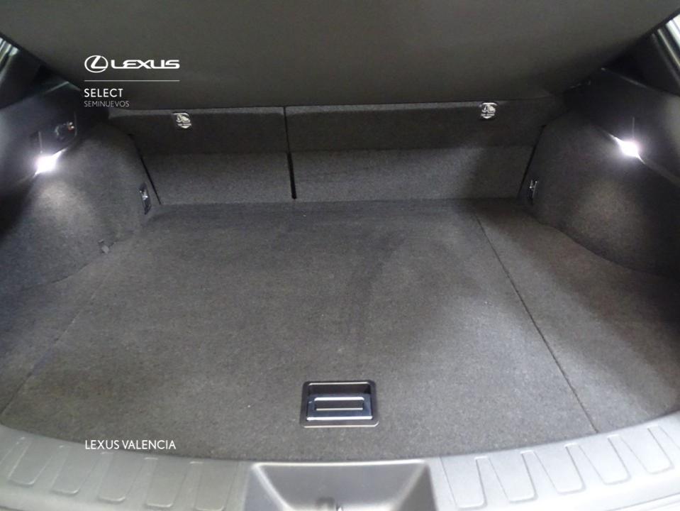 Lexus UX 2.0 250h Business