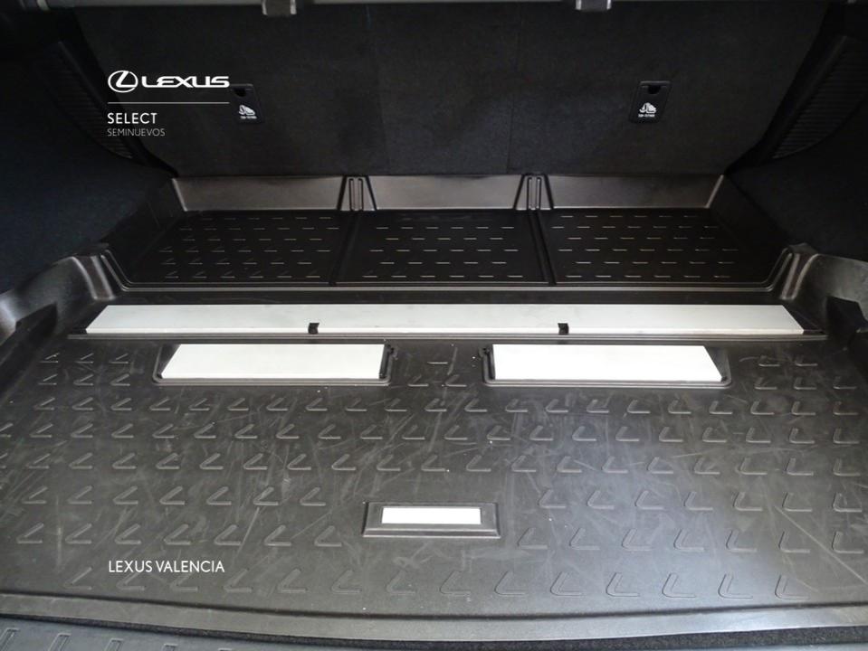 Lexus RX 450h Business