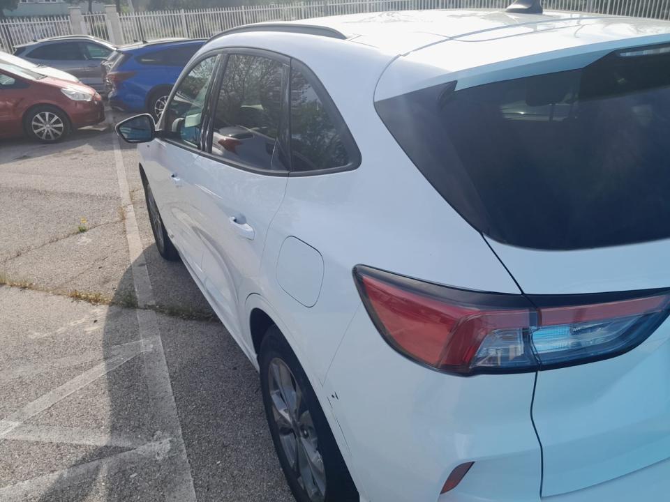 Ford Kuga ST-Line 1.5 EcoBlue 88kW (120CV) nuevo Madrid